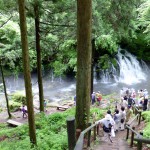 7-24鳥海山伏流水1